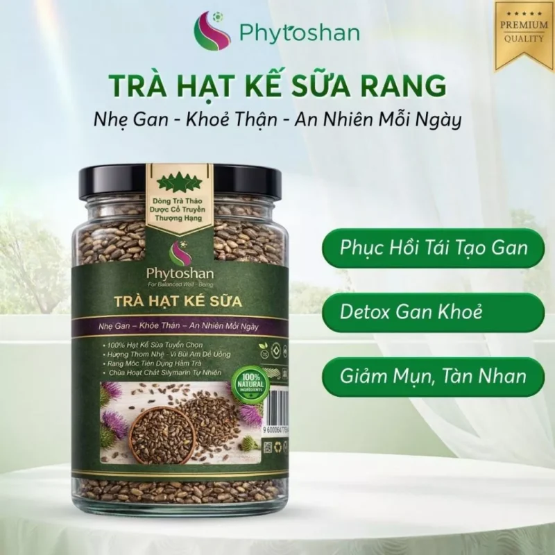 Hạt Kế Sữa Rang Mộc Loại 1 Giàu Silymarin Trà Thảo Mộc Phytoshan HKS01