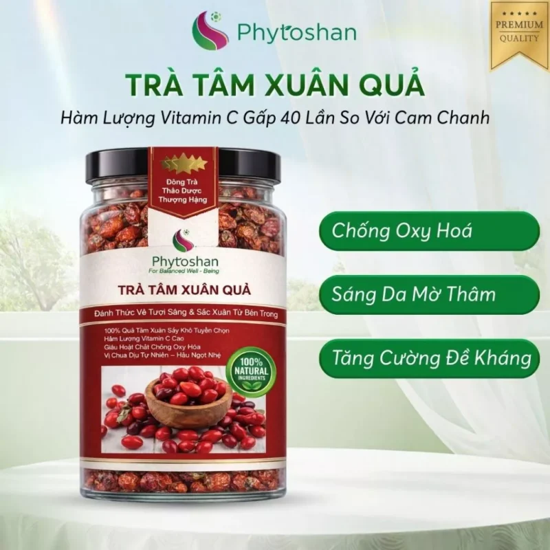 Rosehip Quả Tầm Xuân Trà Thảo Mộc Dưỡng Nhan Giàu Vitamin C Tự Nhiên Phytoshan TXQ01